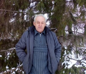 Владимир, 65 лет, Казань