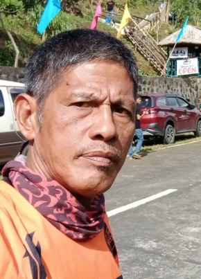 bert, 51, Pilipinas, Nabua