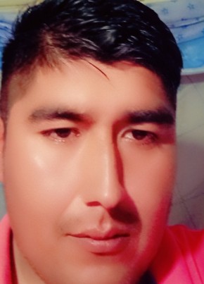 Brayan, 31, República de Chile, San Vicente