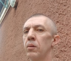 Михаил, 48 лет, Воронеж
