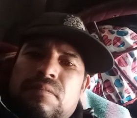 Bruno, 37, Culiacan