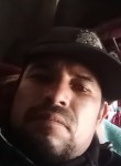 Bruno, 37, Culiacan