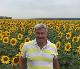 Валерий, 70 лет, Воронеж