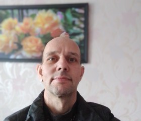 Дмитрий, 48 лет, Северск
