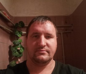 Антон, 36 лет, Кольчугино