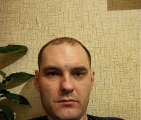 Андрей, 41 год, Лотошино