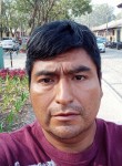 Carlos, 32 года, Nueva Guatemala de la Asunción