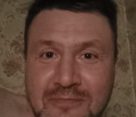 Дмитрий, 43 года, Топки