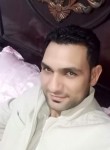 Ahmedsherfad, 34  , Cairo