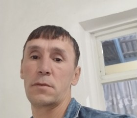 Ник, 45 лет, Алматы