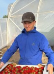 boss, 25, Melitopol