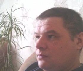 Анатолий, 40 лет, Ульяновск