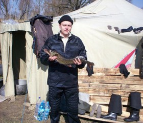Станислав, 46 лет, Кременчук