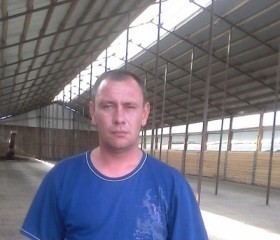 Владимир, 41 год, Можга