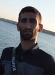 Mustafa, 34 года, İstanbul