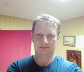 Владимир, 44 года, Белокуриха