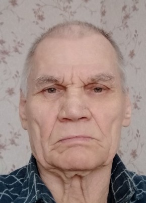Виктор, 82, Россия, Ревда