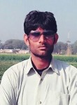 Manoj Kumar, 34 года, Indian Trail