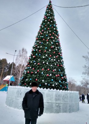 Виктор, 69, Россия, Полевской