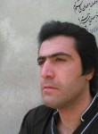 mehran baghayi, 34 года, سُلطان آباد