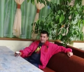Sherali Myzafaro, 38 лет, Toshkent