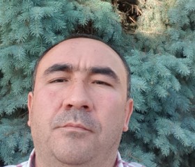 Набижан, 38 лет, Toshkent