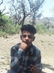 Salman Ali, 19 лет, Haridwar