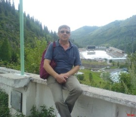 Андрей, 65 лет, Алматы