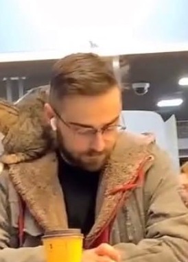 Артем