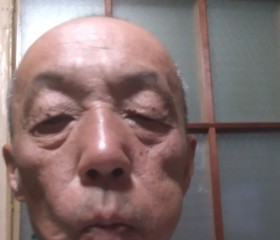裸の王様, 65, Kochi-shi