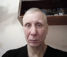 Вадим Потнягин, 56 лет, Архангельское
