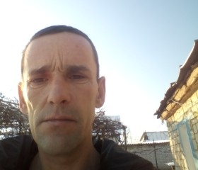 Дмитрий, 44 года, Сєвєродонецьк