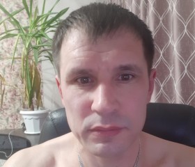 Володя, 44 года, Пермь