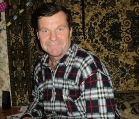 Геннадий, 69 лет, Артемівськ (Донецьк)