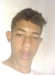 Lucas Gabriel, 18 лет, Região de Campinas (São Paulo)