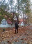 Rovshan - Свободный