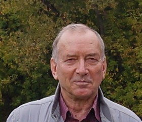 Юрий, 74 года, Челябинск