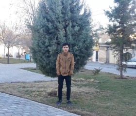 Javad, 18 лет, سبزوار