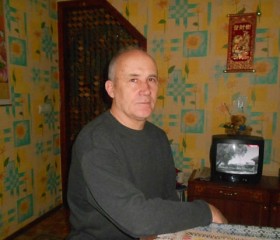 Станислав, 71 год, Дніпро