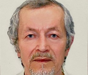 Вячеслав, 70 лет, Фрязино