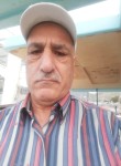 BERKEL AVCI, 64 года, Ankara