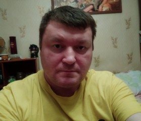 Александр, 49 лет, Жуковский