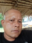 Alba reza, 37 лет, Kota Palembang