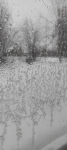 View full size