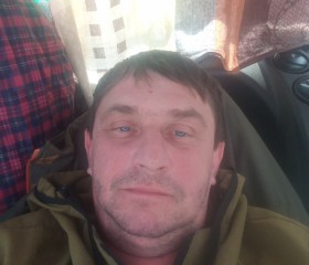 Николай, 45 лет, Новоуральск