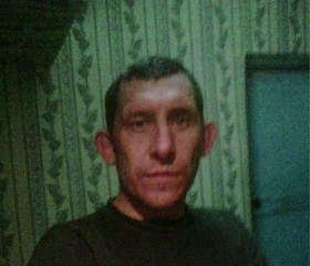 александр, 47 лет, Жітіқара