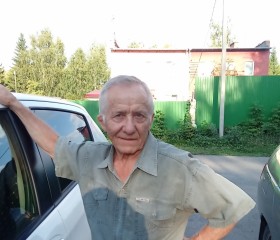 ПЕТР, 76 лет, Омск