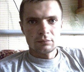 Владимир, 41 год, Берасьце