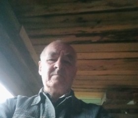 Viktor, 63, Aleksandrovsk
