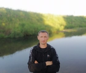 Александр, 40 лет, Александров